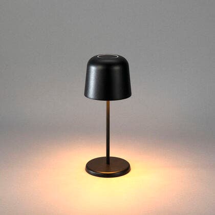 Biot bordslampa USB