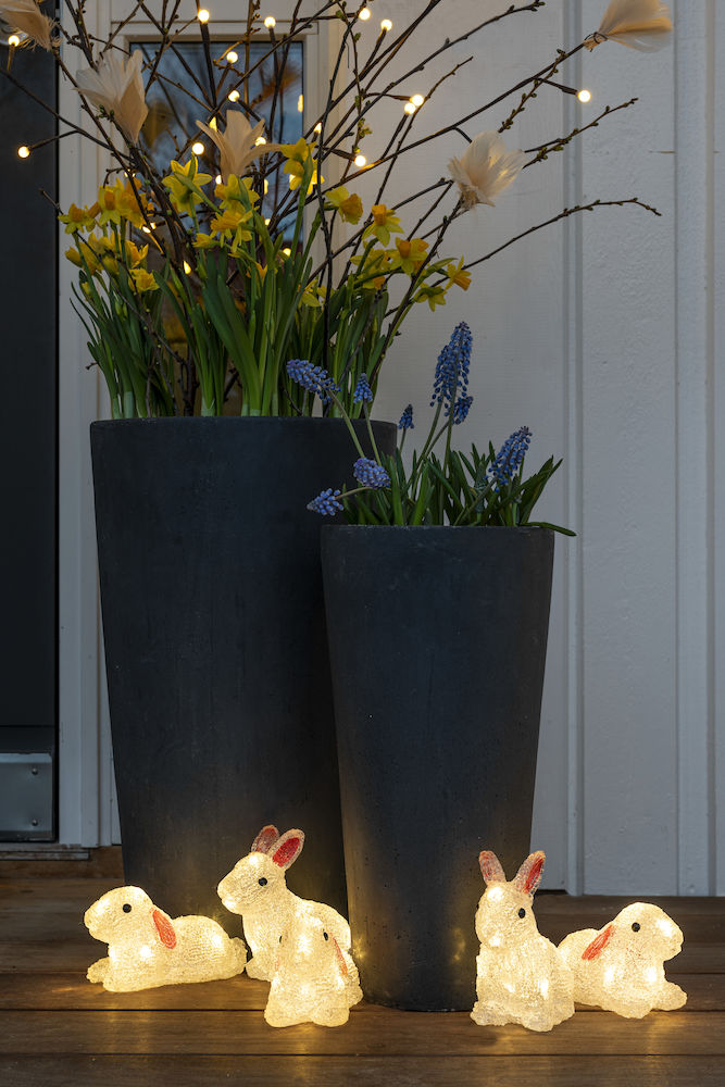 Rabbits Acrylic LED 5pcs/set,